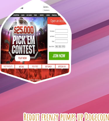 Best online betting sites reddit